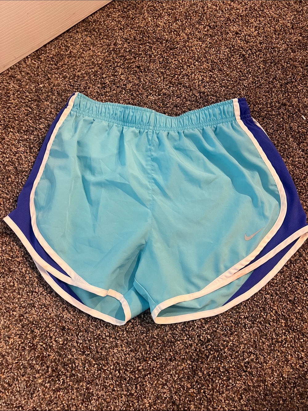 Nike Women's Aqua Running Shorts with Navy Panels